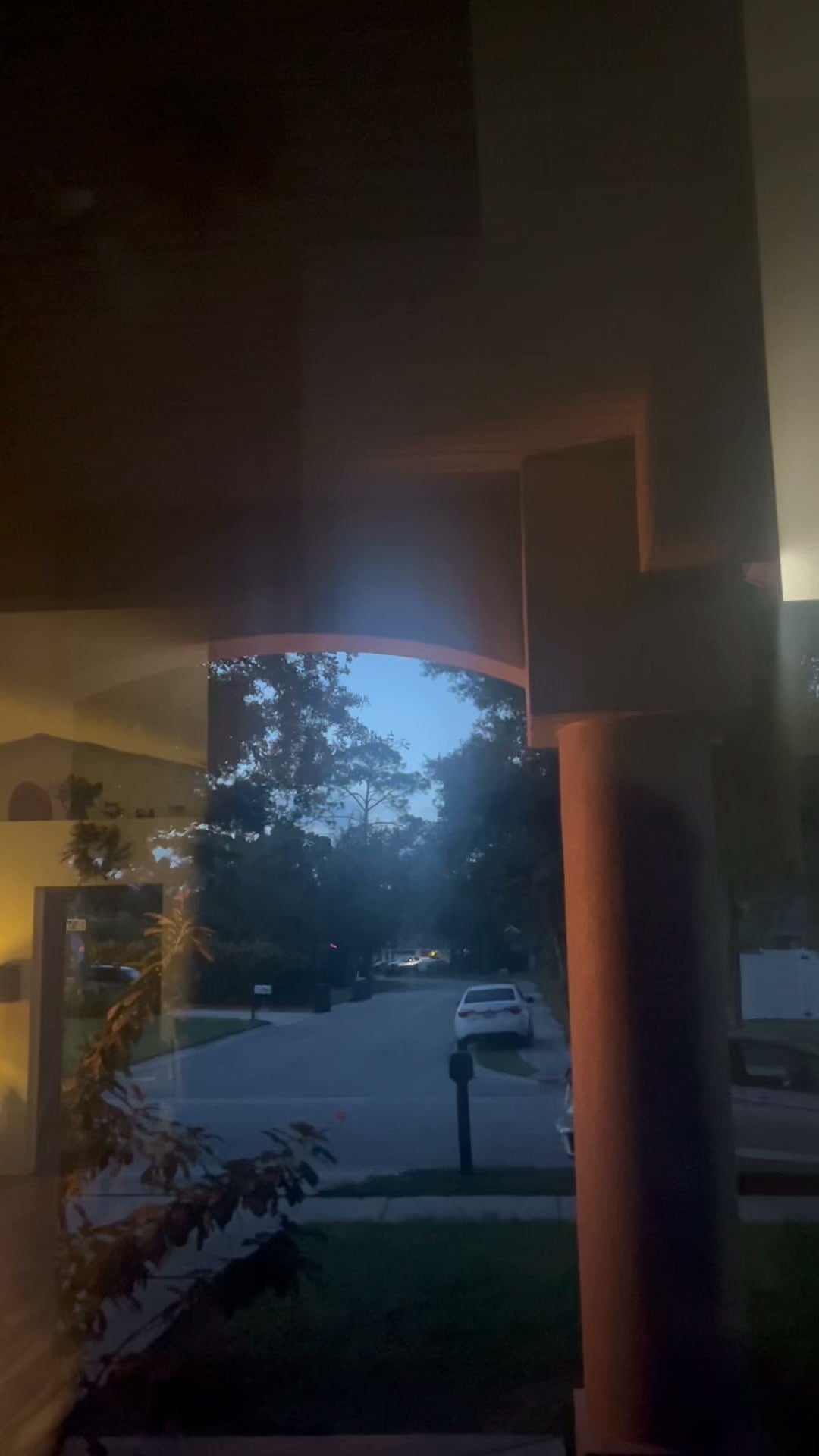 Can you see this craziness? What is more harmful the mosquitos up close or the bats flitting all around. There are about 20 of them and they live on property. 🦇