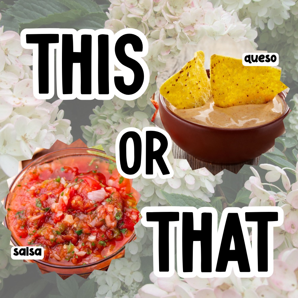 The snack table is ready!

🌶️ Salsa or 🧀 Queso?

No wrong answers... maybe. 😆